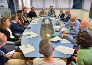 Energie rinnovabili: Regione accelera su predisposizione legge per individuare aree idonee