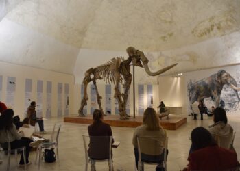 Sold out al Castello cinquecentesco per il convegno di studi sul Mammut del Castello
