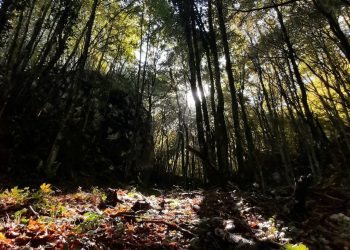 Prima edizione della “Walking Marathon dei Briganti” a Sante Marie: un tuffo nella natura e nella storia