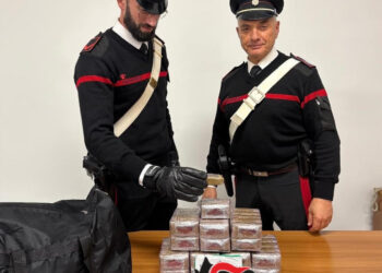 Controlli ad Alba Adriatica, sequestrati 8 kg di sostanze stupefacenti