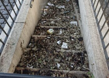 Decoro a Chieti, il Comune: “Chiesto agli uffici di intensificare monitoraggi e controlli sull’igiene in città”