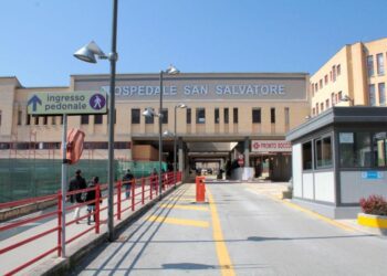 Prelievo multiorgano da una donna di 33 anni: la grande (e triste) storia che viene dall’ospedale dell’Aquila