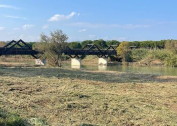 Lavori di bonifica e pulizia alla foce del Tordino e del Salinello