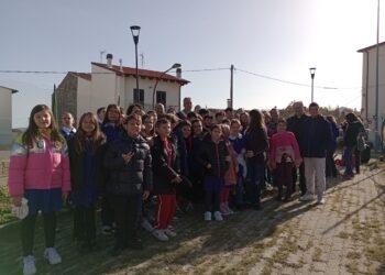 Festa dell’Albero a Tornareccio: celebrazione, tutela e piantumazione per un futuro verde