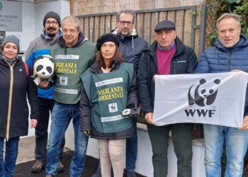 Centro recupero della fauna, Wwf: In Abruzzo non si trovano poche migliaia di euro per soccorrere gli animali