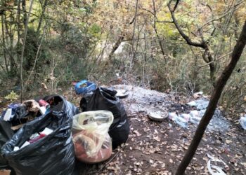 Gdf L’Aquila: mercato della droga nei boschi di Sulmona