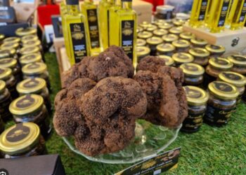 Domani a L’Aquila la presentazione della terza fiera internazionale dei Tartufi d’Abruzzo