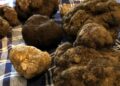 Fiera internazionale Tartufi d’Abruzzo: Cerretano, “Ribalta internazionale su un prodotto straordinario”