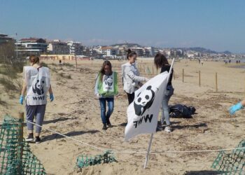 Il corso di studi in scienze delle attività motorie “adotta” a Pescara la spiaggia del Fratino