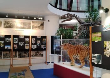 Fasi conclusive dell’edizione 2024 del concorso fotografico abbinato a Urban Nature