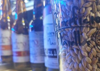 Festival birre d’Abruzzo, D’Incecco: dal campo al boccale, al lavoro per chiudere filiera regionale