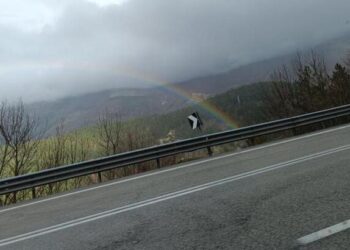 Smottamento del costone, chiusa la strada statale 17 Bis