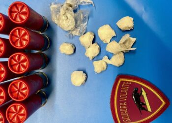 La polizia trova droga e cartucce da fucile nascosti in un tombino