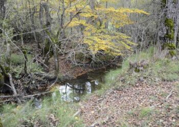 Rimosse le barriere fluviali lungo il fiume Giovenco: intervento da 157 mila euro