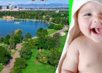 Un nuovo albero per ogni bambino nato: 200mila piante per Nuova Pescara