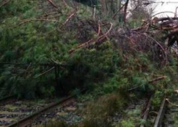 Maltempo, rami sui binari e treni bloccati per ore: disagi e ritardi
