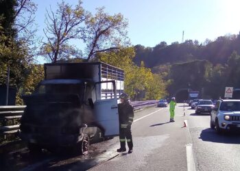Camion alle fiamme: autista porta in salvo il cavallo che trasportava, intervento vigili del fuoco
