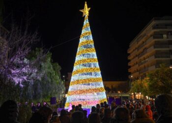 Il grande albero di piazza della Libertà illumina il Natale di Roseto