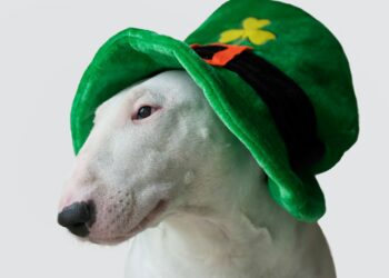 5 tradizioni tipiche della cultura americana e internazionale