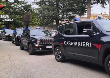 Ordine e sicurezza pubblica, controlli a tappeto dei carabinieri nel fine settimana: denunciate 4 persone