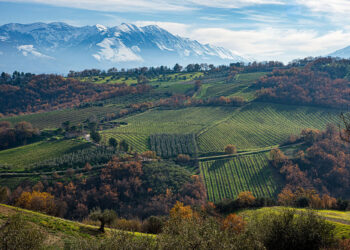 Le ciclovie della transumanza: otto comuni uniti per l’obiettivo