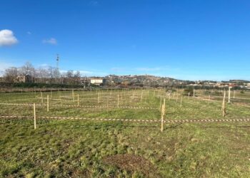 A Roseto degli Abruzzi il 14 dicembre tutti in sella per il ciclocross in ricordo di Bruno Di Fabio