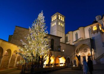 L’Abruzzo offrirà l’olio per la lampada votiva sulla tomba di San Francesco d’Assisi