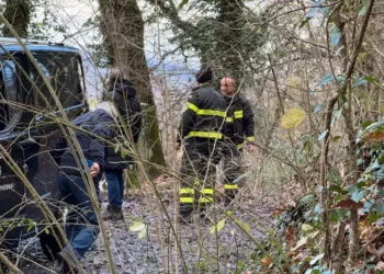 Trovato morto in auto: ha ferite da morsi di animali selvatici