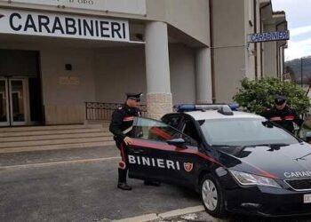 Droga nascosta in casa e nel bosco, i carabinieri arrestano un 26enne