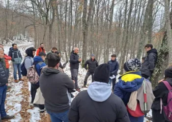 Un cantiere forestale per studiare la selvicoltura del futuro