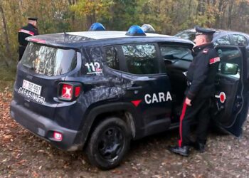 Il drone dei carabinieri lo scova nel bosco, arrestato per droga