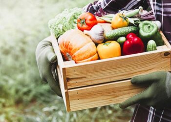 Presentato “Distretto per l’Innovazione Agroalimentare Marsica”: crescita del settore occupazionale del 30%