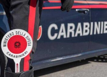 Cocaina in salotto e denaro nel cuscino: arrestato 23enne straniero