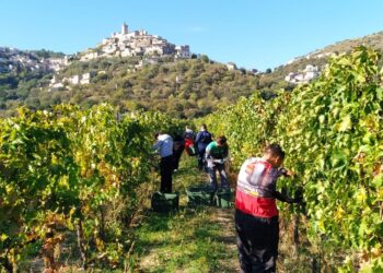 Open day del Serpieri ad Avezzano, Pratola Peligna e Castel di Sangro: scopri il futuro della formazione