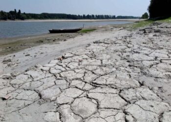 Siccità, D’Eramo: “Entro il 31 gennaio imprese agricole possono presentare richiesta contributo Agricat”