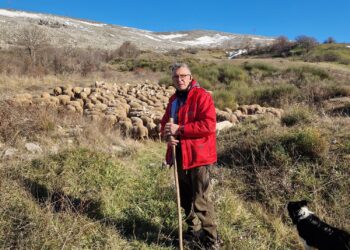 Zootecnia a rischio, Iulianella: “Politica inefficiente, l’Agea non è in grado di pagare”