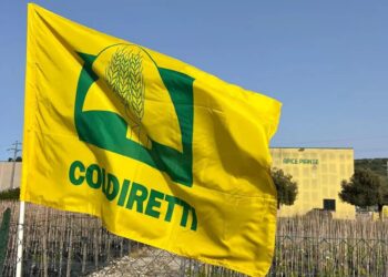 Caos sul vino dealcolato, Coldiretti Chieti: “Niente falsi allarmismi sulle DO e IG”