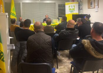 Coldiretti Chieti, consulta del vino e dei settori principali: primo incontro con la nuova governance