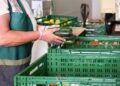 Agricoltura, approvate le procedure per richiedere prestito di conduzione a sostegno delle aziende agricole