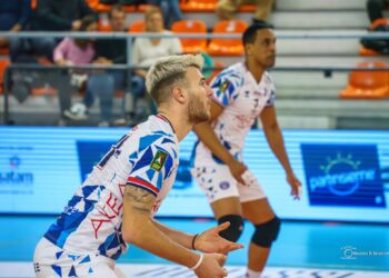 Dal Monte Coppa Italia, la Sieco di Ortona ritrova la Domotek