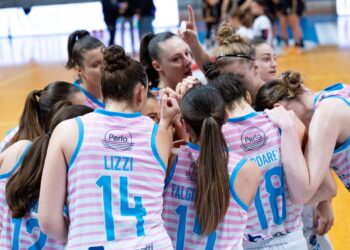 Le Panthers Roseto ospitano Udine: in palio il primo posto in classifica