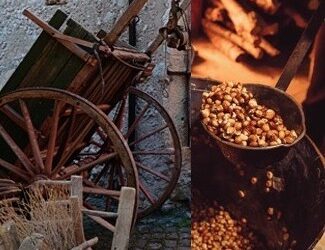 Al via i campionati a squadre maschili di Tennistavolo