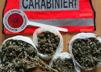 Nasconde droga sotto il letto, ai carabinieri: “mi fa bene”, denunciato imprenditore 57enne