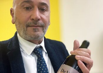 Produzione enologica, il CRUA tra tradizione territoriale e innovazione scientifica