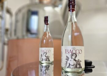 Nasce il primo gin con le vinacce di Montepulciano d’Abruzzo: si chiama Bacco e ha anche finalità sociali