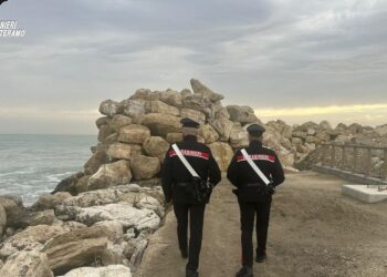 Maltrattamenti, ricettazione e guida in stato di ebrezza: le operazioni dei carabinieri negli ultimi giorni