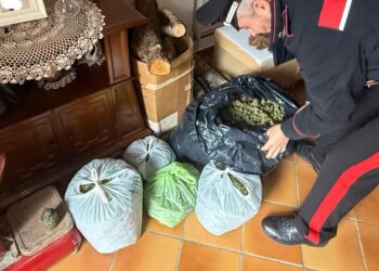 Oltre 100mila euro di droga in casa, 20 chili nascosti nel sottotetto: arrestato 46enne