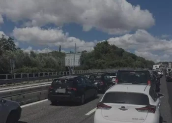 Incidente sull’autostrada A14 tra Pescara Sud e Ortona, morto l’autista del camion