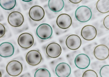 Alfasigma investe su Alanno: più stabilizzazioni e nuove assunzioni