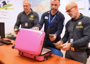 Passeggero con la valigia piena di droga all’aeroporto d’Abruzzo, fermato e denunciato